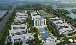 转正申请书2023最新版