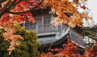 为什么年轻人爱上寺庙咖啡