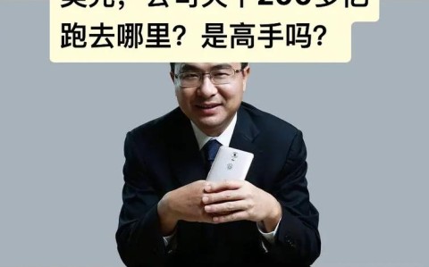 金立手机c600（金立手机刘立荣）