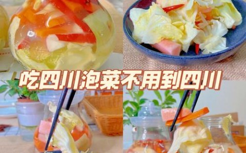 泡菜的做法（泡菜的做法视频教程）