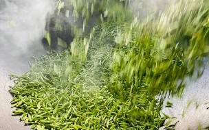 摘星是什么意思苏州 苏州什么时候摘星最新消息