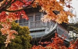 寺庙怎么就变得年轻人爱去了呢 为什么年轻人爱上寺庙咖啡
