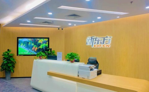 石家庄新东方英语（石家庄新东方英语教育机构）