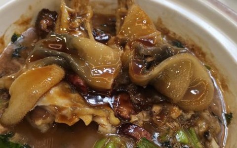 河豚鱼的做法（河豚鱼做法怎么样做好吃）