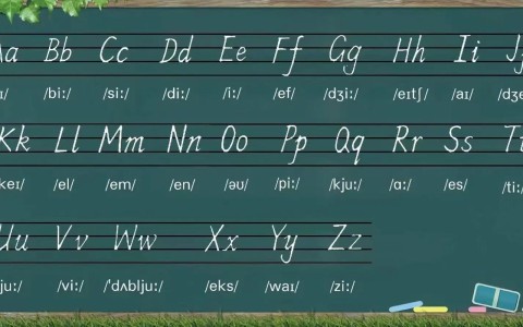 初级英语（初级英语学习）