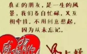 我的好朋友二年级作文 我的好朋友作文二年级下册