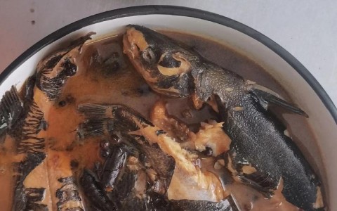 炖鱼的做法（炖鱼的做法家常简单）