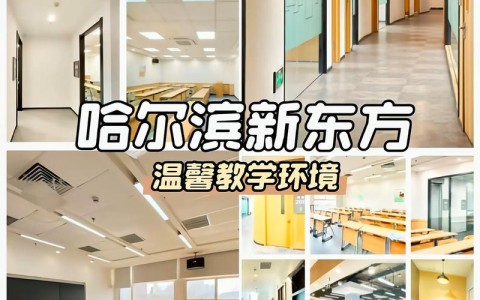 哈尔滨新东方英语（哈尔滨新东方英语学校怎么样）
