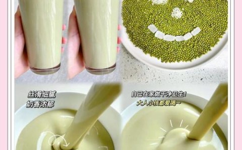 绿豆沙冰的做法（绿豆沙冰的做法家常做法）