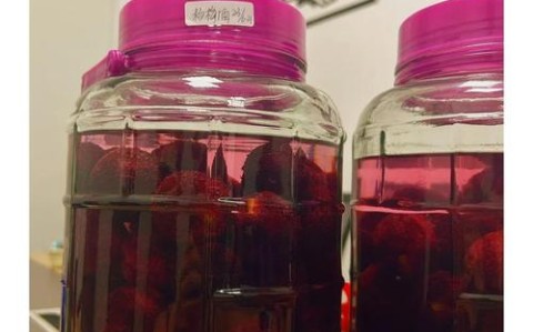 杨梅酒的做法（杨梅酒正确做法）