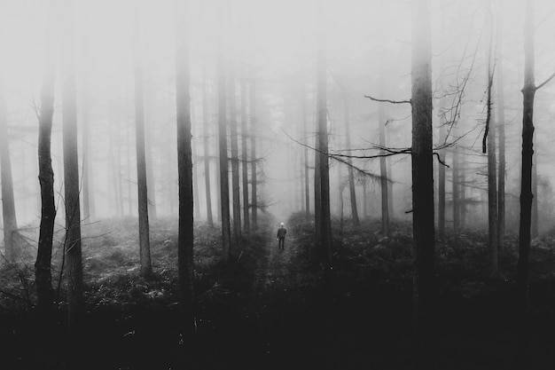 【最新科普】各种手机麻将怎么开挂!详细分享装挂步骤