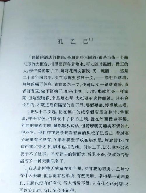 孔乙己文学续集的简单介绍
