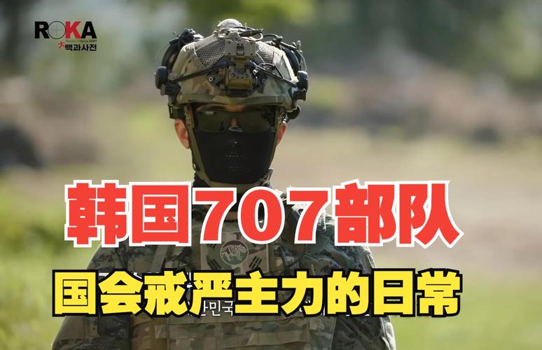 美突击检查韩国工厂(美国突击队叫啥名)