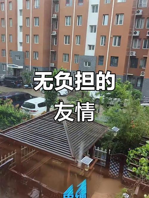 零糖社交现象（零糖cp）