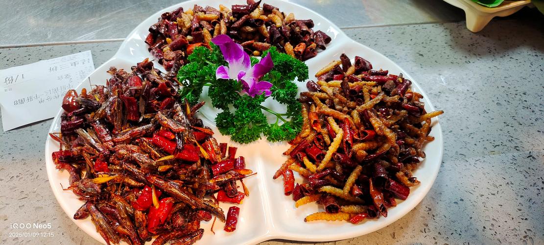 昆虫美食节试吃（昆虫美食节试吃视频）
