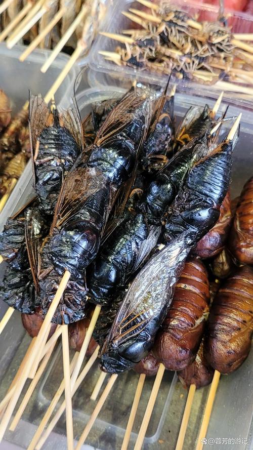 昆虫美食节试吃（昆虫美食节试吃视频）