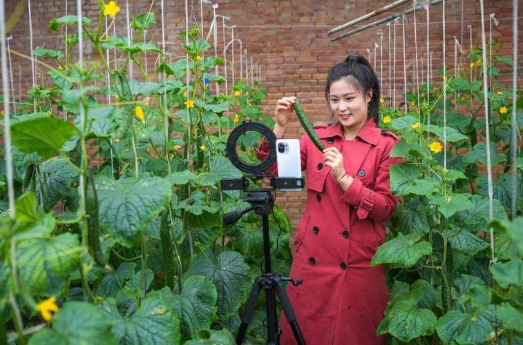 菜市场直播带货(直播卖蔬菜)