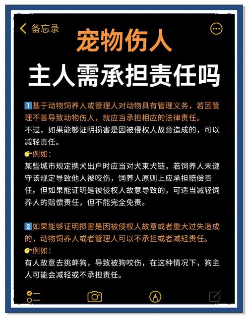 宠物伤人事件(宠物伤人属于什么责任)