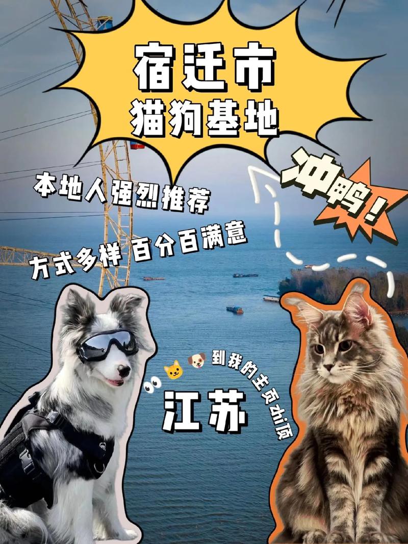 区块链养猫(区块链养狗)