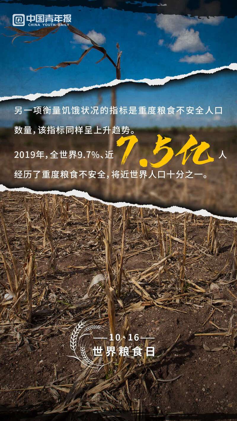 全球粮食安全(全球粮食安全仍未解除危机具体表现为)