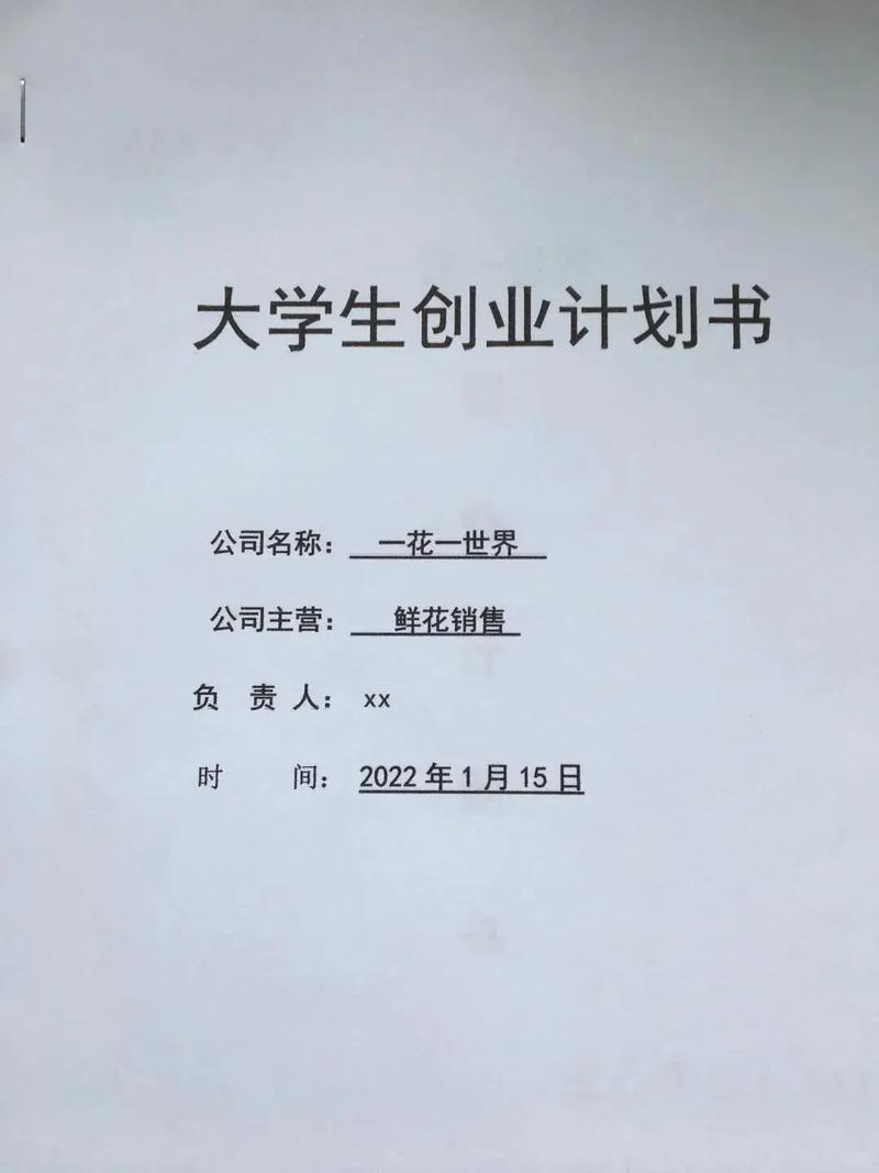 动漫产业创新(关于动漫的创新创业计划书)