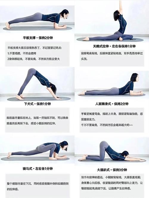 瑜伽教程（瑜伽教程初级全套完整）