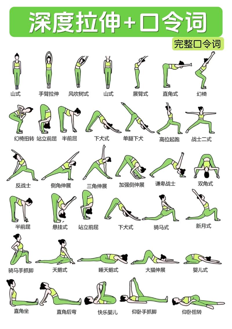 瑜伽教程（瑜伽教程初级全套完整）
