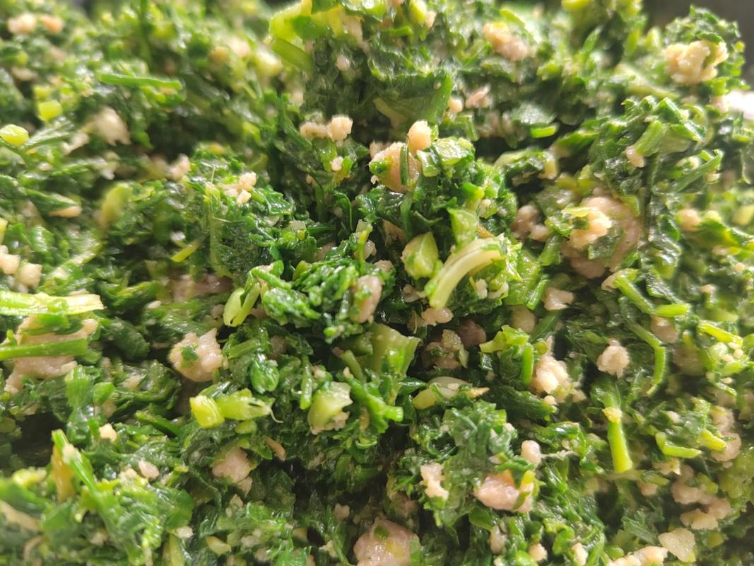 青菜馄饨馅的做法(青菜肉馅馄饨怎么做好吃)