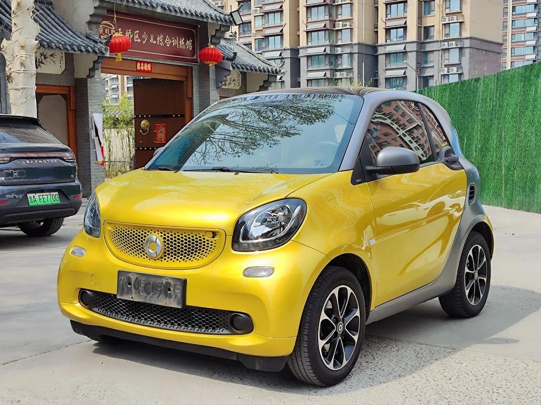 汽车厂商（精灵smart汽车厂商）