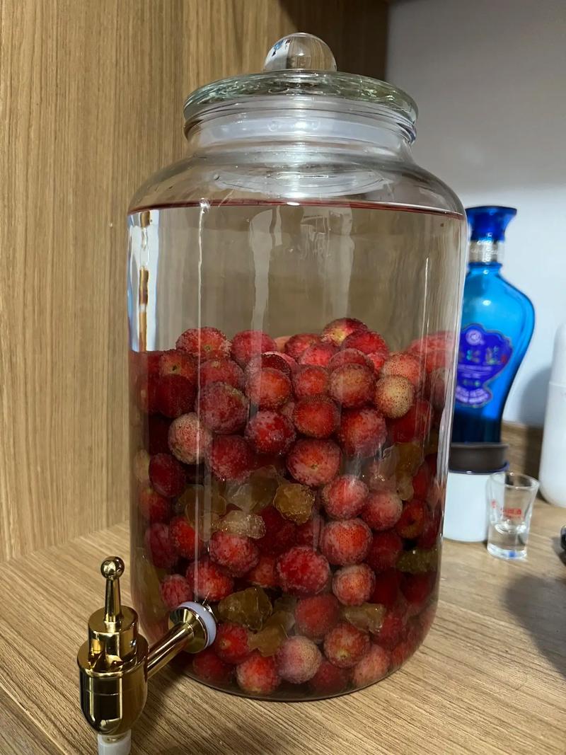 杨梅酒的做法（杨梅酒正确做法）