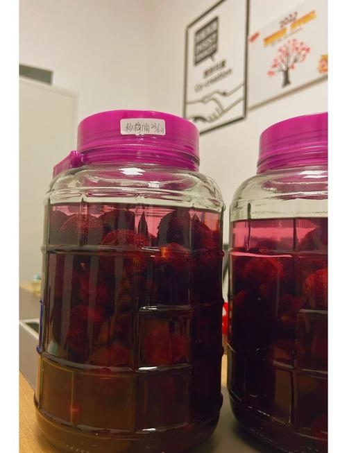 杨梅酒的做法（杨梅酒正确做法）