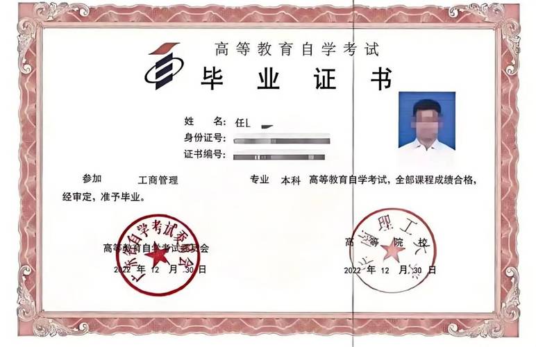 英语四级新手从哪开始学（如何自考英语等级证书）