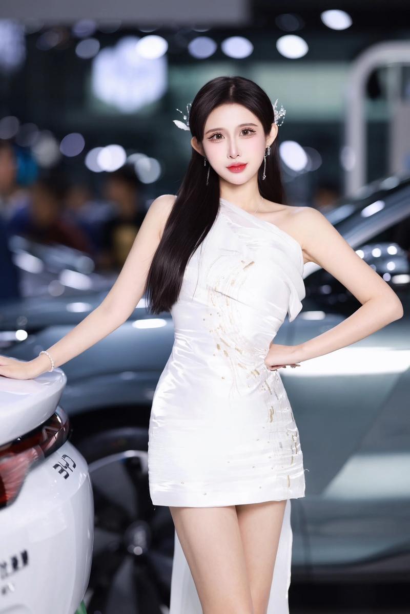 沈阳近期车展(沈阳车展时间表)