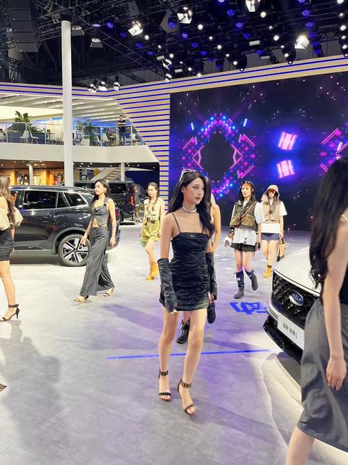 西博车展（西博车展2024）