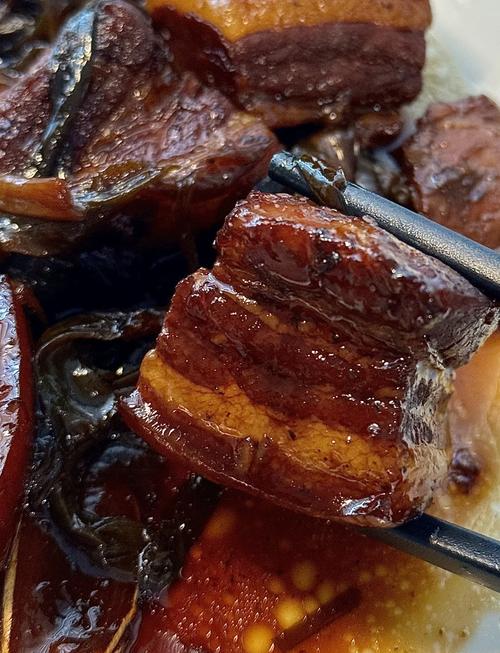 东坡肉的做法视频(东坡肉的做法 视频)