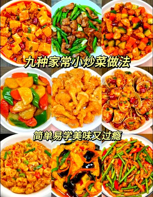 家常菜做法大全有图窍门（家常菜做法大全有图 炒菜）