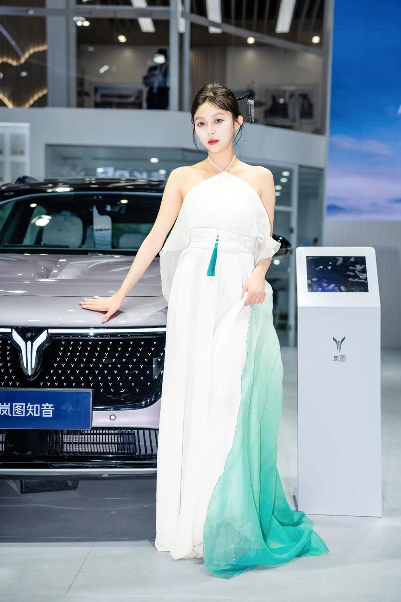 郑州大河车展(郑州大河车展要门票吗)