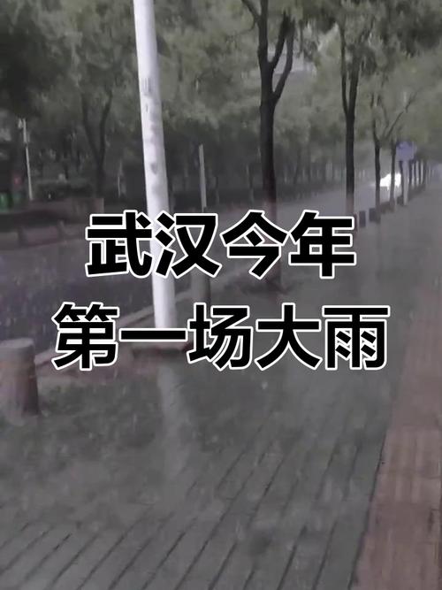 武汉今日天气（武汉今天下雨吗）