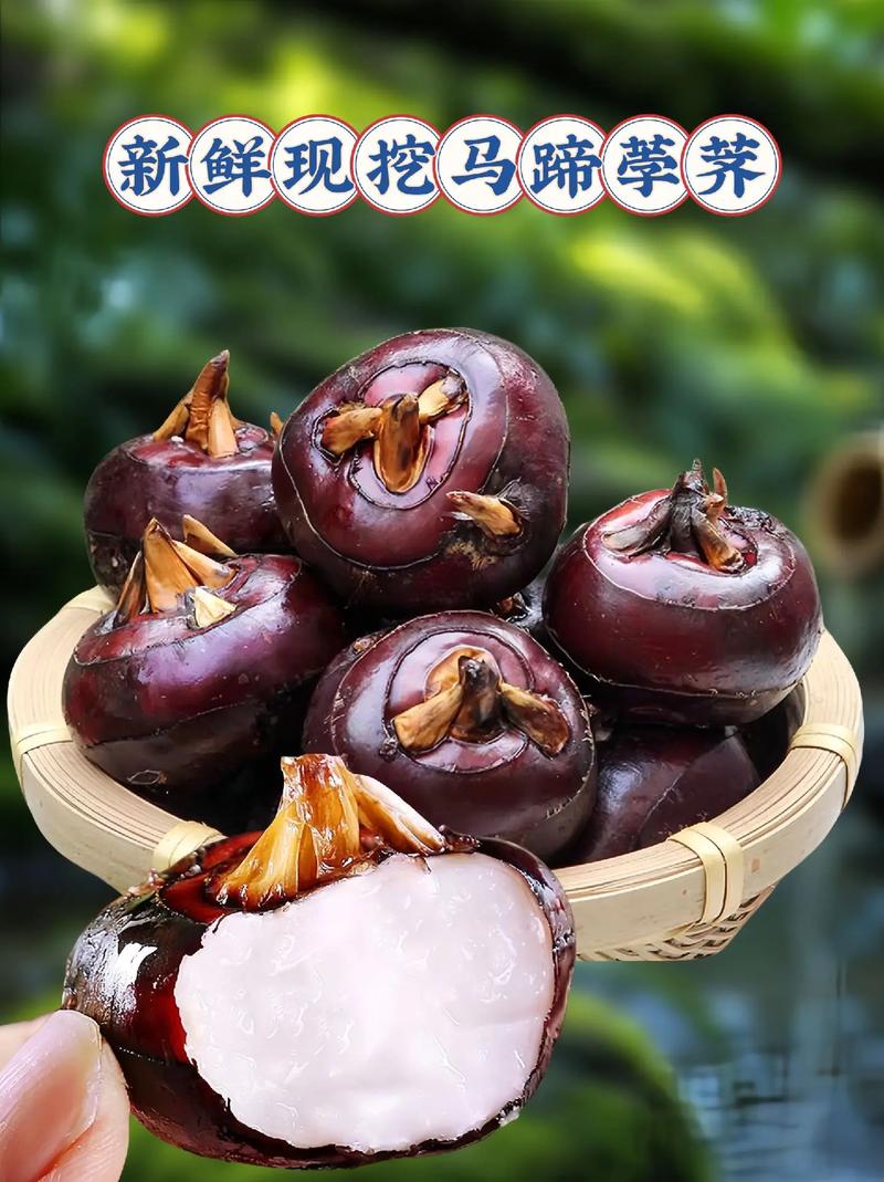 荸荠的最佳吃法和做法（荸荠的最佳吃法和做法视频）