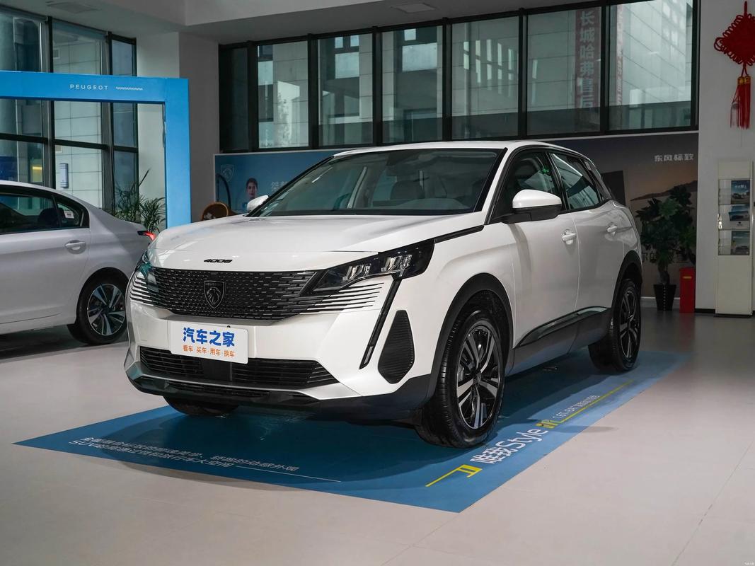 标致汽车207（标致汽车2024年全球销量）