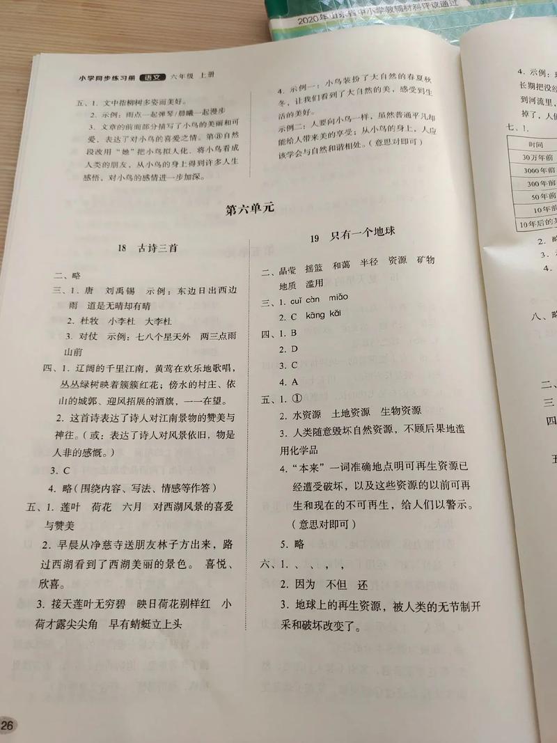 六年级上册语文补充习题答案（语文八年级上册同步训练答案）
