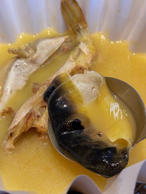 河豚鱼的做法（河豚鱼做法怎么样做好吃）