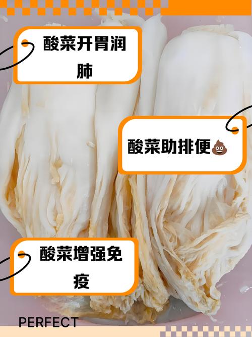 东北酸菜的做法(东北酸菜的做法家常吃法)